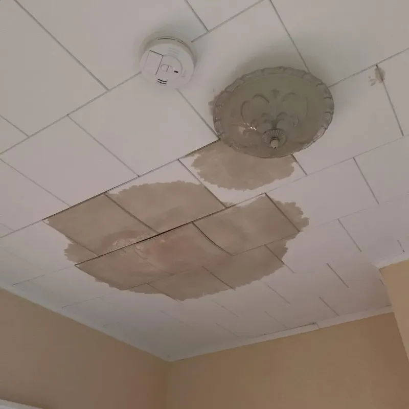 Ceiling Water Damage Repair in Sturtevant, WI