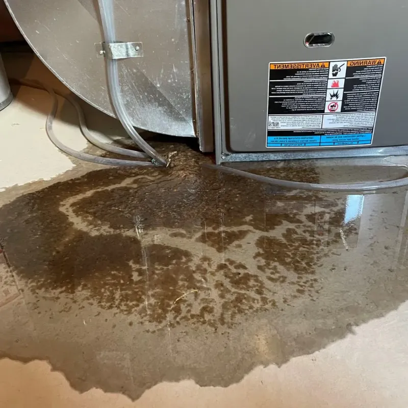 Pipe Burst and Leak Restoration in Sturtevant, WI