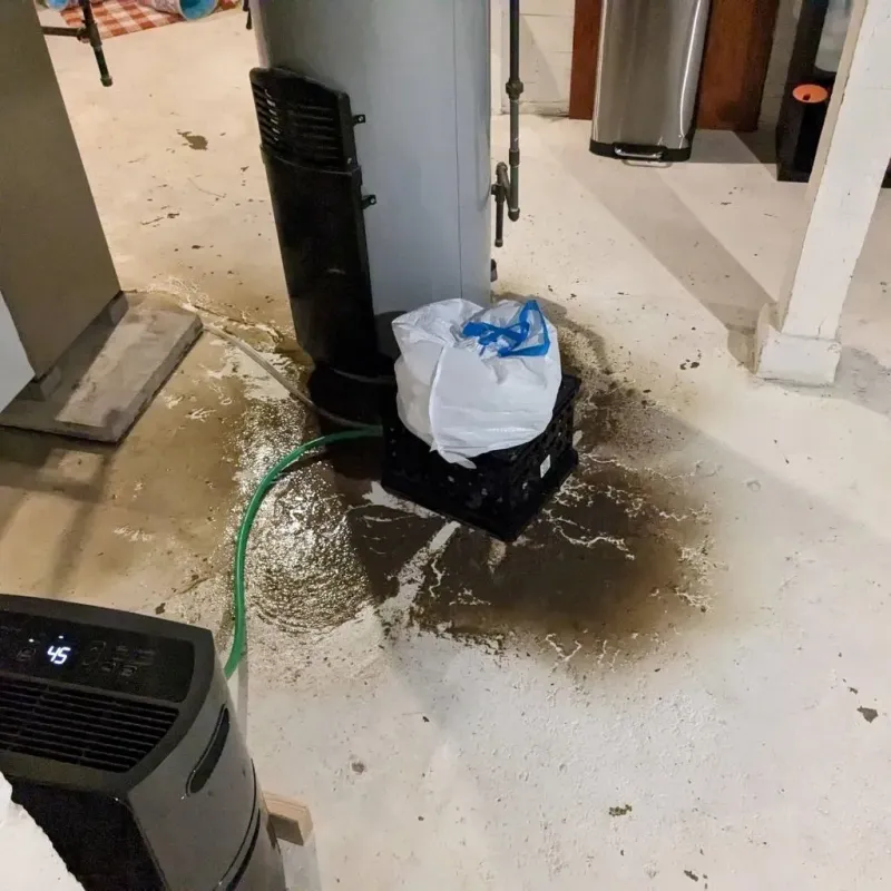 Sewage Backup Cleanup Service in Sturtevant, WI
